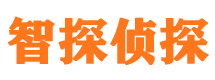 苏仙市私家侦探